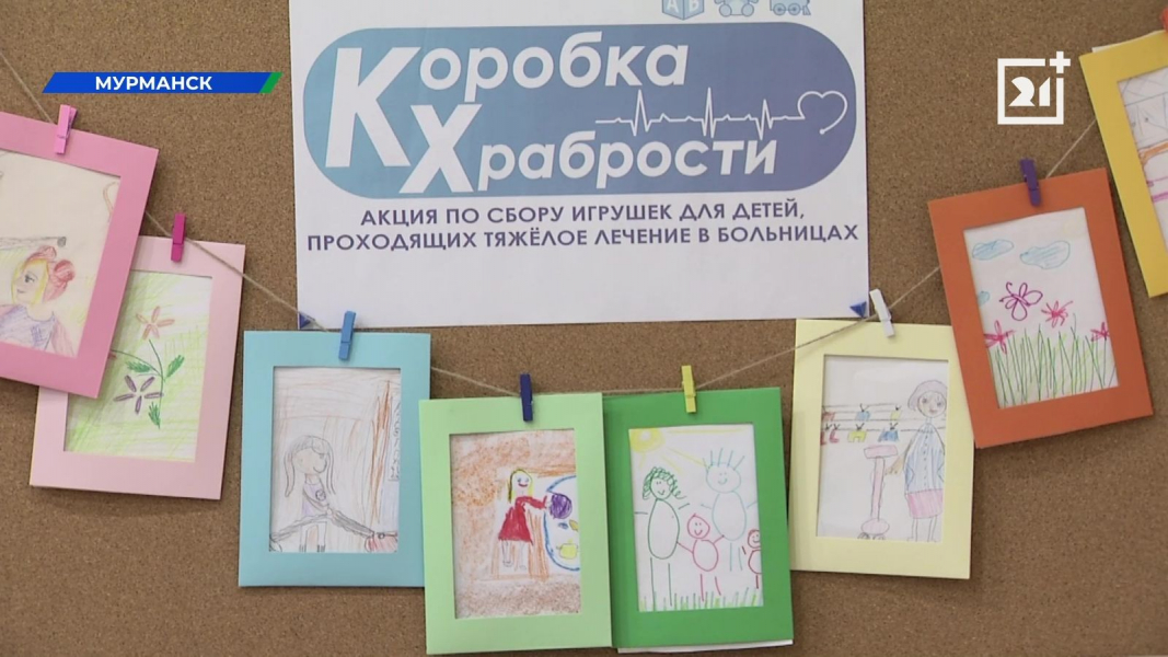 Важная акция стартовала в Мурманской области Важная акция стартовала в Мурманской области