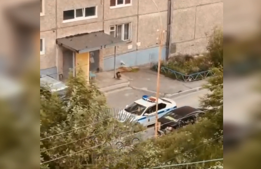 Ночной концерт в мурманском дворе Полиция