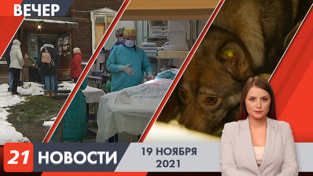 Вечерние новости