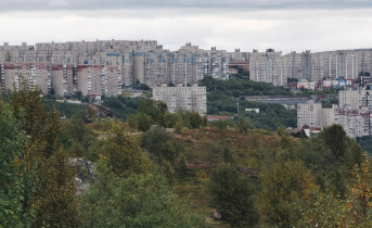Подросток из Мурманска помог задержать преступника Мурманск