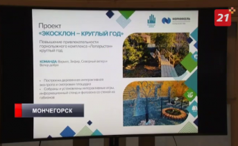 Волонтеры «Норникеля» подвели итоги работы за год Презентация