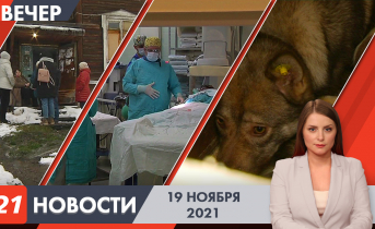 Полное видео программы «Новости» Вечерние новости