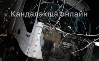 В Мурманской области фура вылетела с трассы ДТП