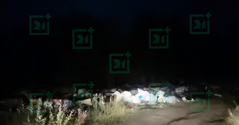 Мусорная свалка в лесу Свалка