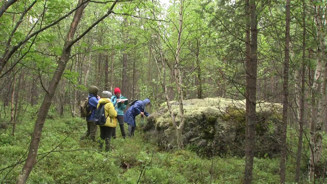Новое место для прогулок и медитаций появится в Мурманской области Новое место для прогулок и медитаций появится в Мурманской области