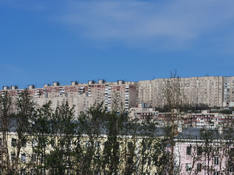 Незаконное оружие Дом