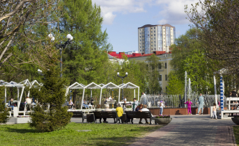 Когда вернется летнее тепло в Мурманскую область? Мурманск