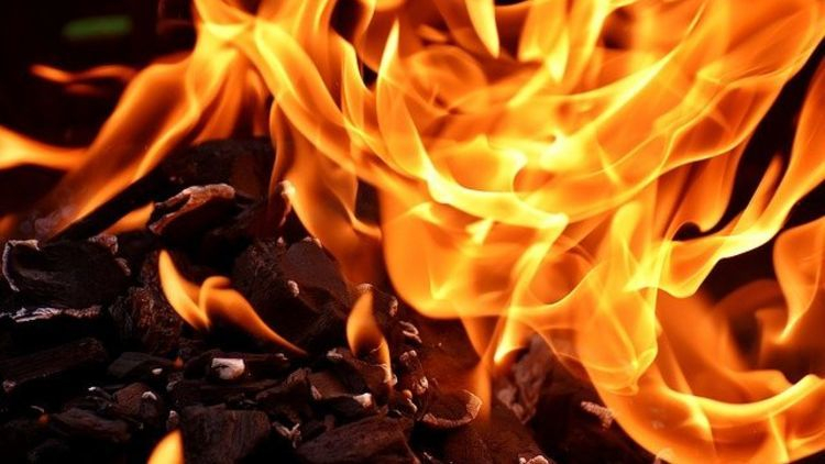 Пожар в Мурманской области тушили 8 человек, фото Пожар