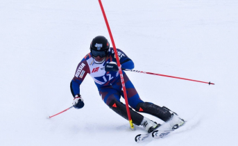 Спорт