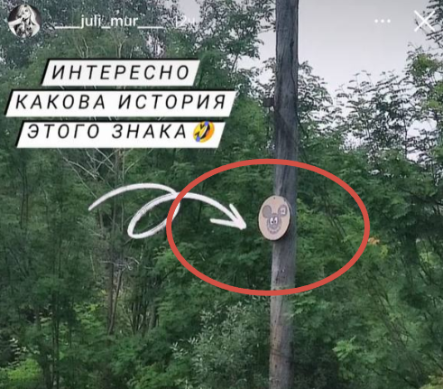 Странный дорожный знак установили в Мурманске Странный дорожный знак установили в Мурманске