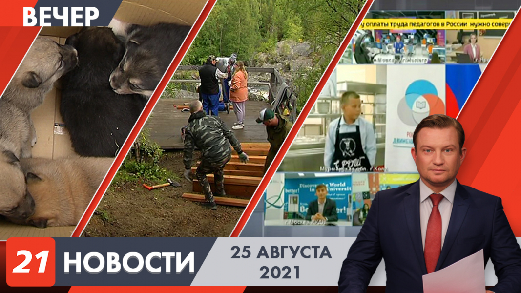 Вечерние новости