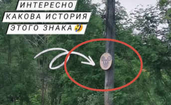 Странный дорожный знак установили в Мурманске Странный дорожный знак установили в Мурманске