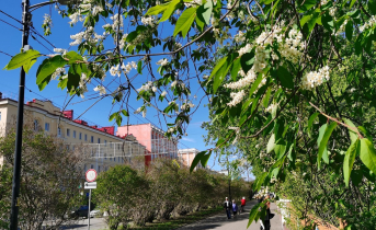 В Мурманской области резко потеплеет Мурманск