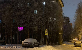«Это неимоверный дубак!» Дом