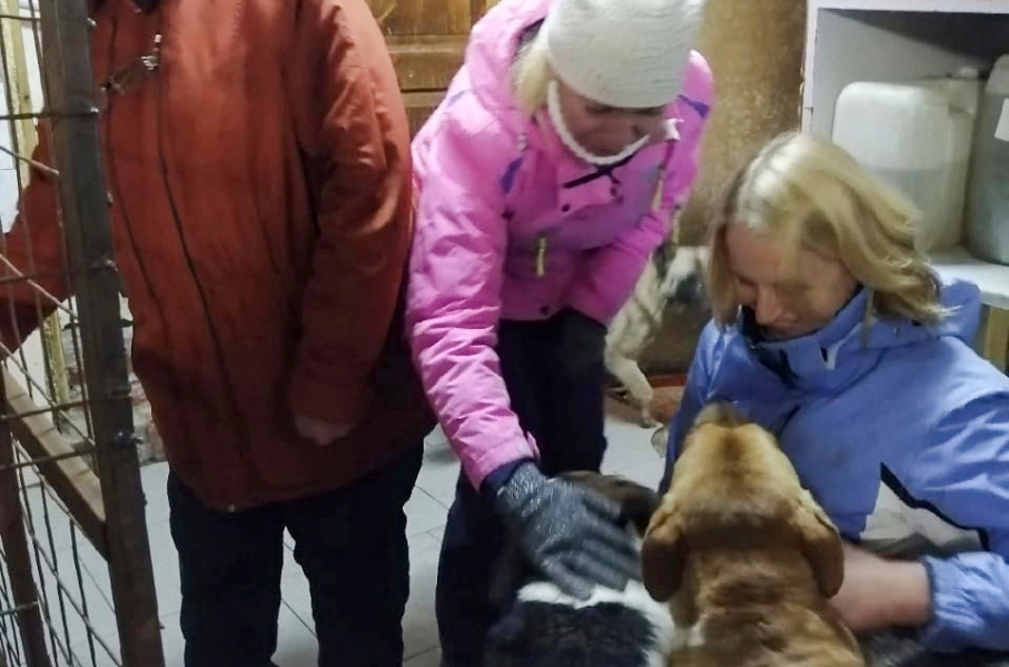 В детсаду Мончегорска собирают помощь для приюта «Дом с хвостом» В детсаду Мончегорска собирают помощь для приюта «Дом с хвостом»
