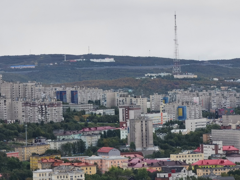 В мурманском магазине встретили необычного покупателя Мурманск