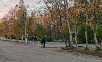 Прокуратура провела проверку из-за вакансий в Мурманской области Мурманск