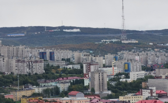 В мурманском магазине встретили необычного покупателя Мурманск
