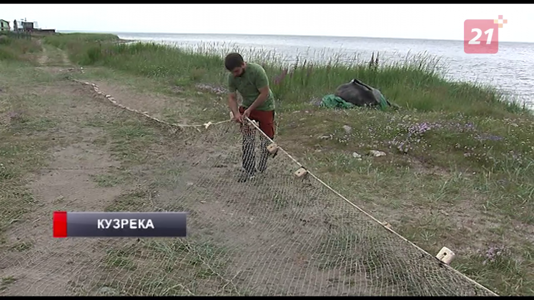 Рыбакам - предпринимателям в Умбе запретили лов горбуши Рыбак