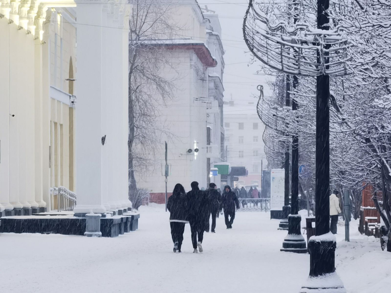 Коронавирус в Мурманской области Люди