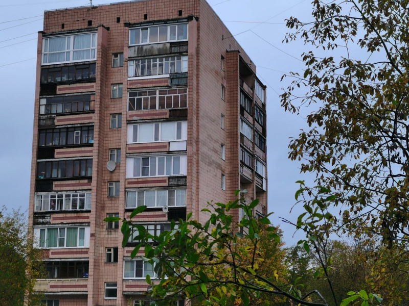 «Душераздирающе». Северяне обеспокоены за животное в Мурманске Мурманск