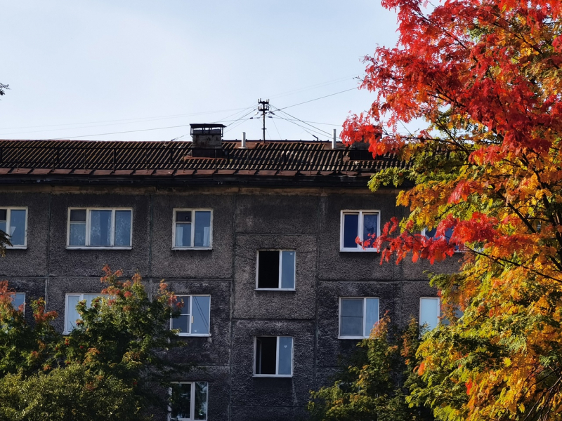 Жестокое убийство Дом