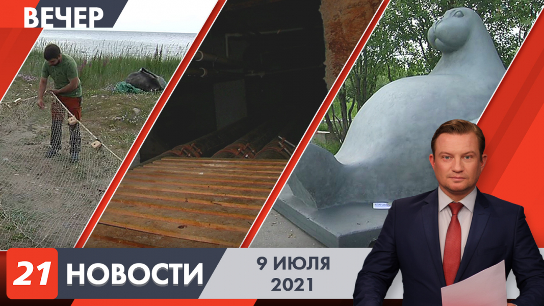 Вечерние новости