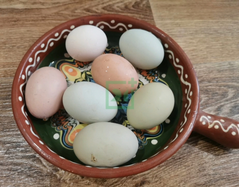 Уникальные яйца несут курицы в Мурманской области Яйца