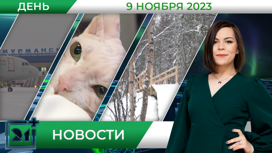 Полное видео программы «Дневные новости»