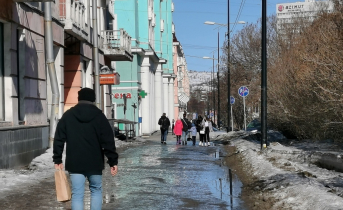 Мама и сын совершили преступление в Мурманске Мурманск