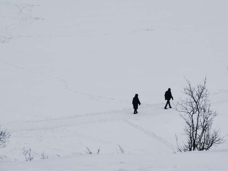 Соцсети: В Мурманской области избили спасшего людей из горящего автомобиля мужчину Люди