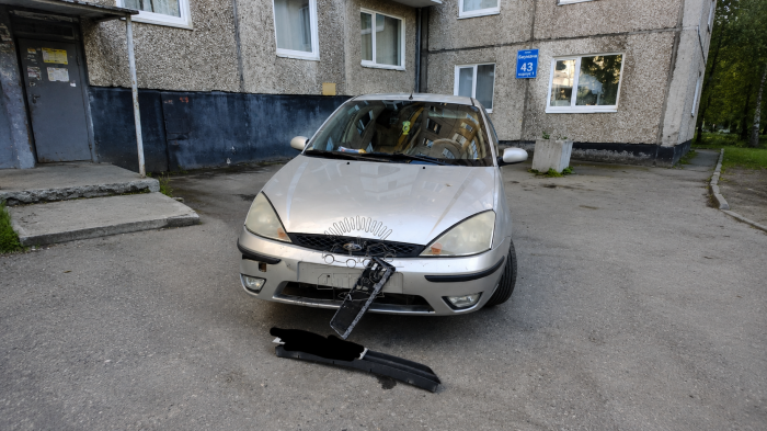 Собаки грызут припаркованные машины во дворе в Мурманске Машина