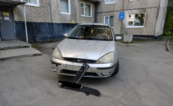 Собаки грызут припаркованные машины во дворе в Мурманске Машина