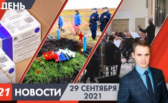 Полное видео программы «Дневные новости» Дневные новости