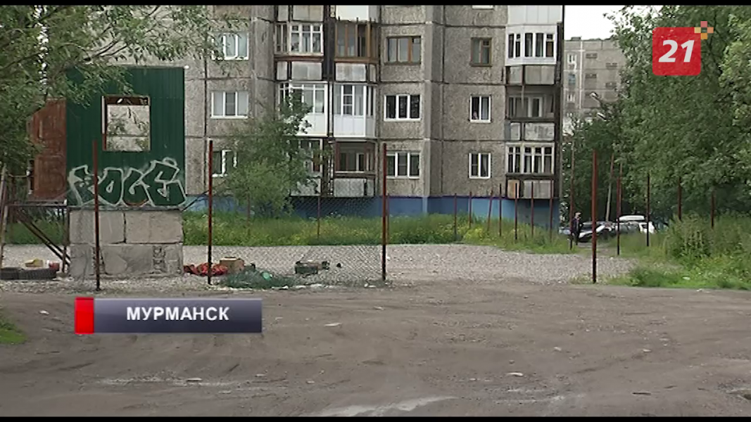 110 вырубленных деревьев в Мурманске стали причиной жарких споров сквер