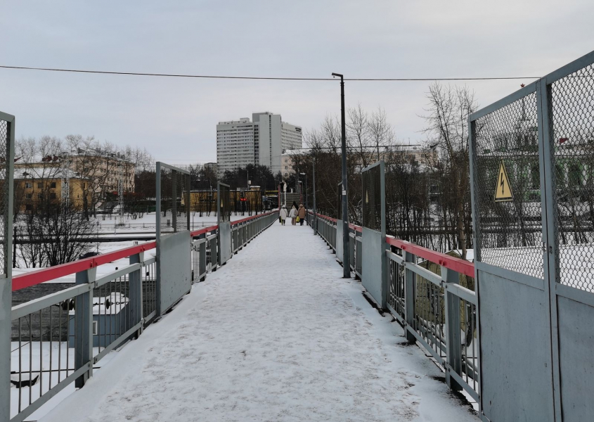 Мойва станет доступнее в Мурманске