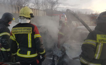 В Мурманской области сгорел автомобиль Пожар