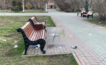 «Устроили настоящий свинарник». Мурманчане возмутились стихийной свалкой в центре города Мусор