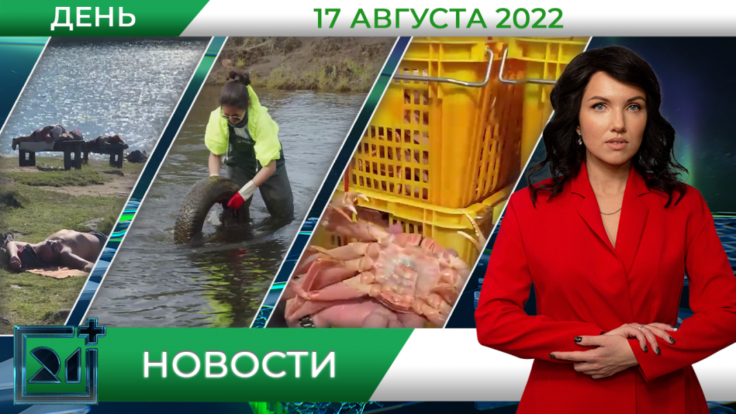 Полное видео программы «Дневные новости»