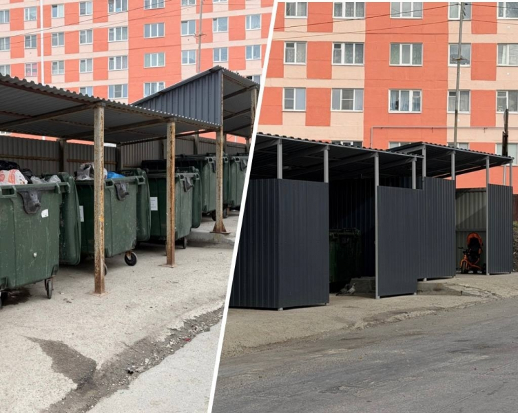 Мусорный беспредел. Северяне пожаловались в прокуратуру Мусорные баки