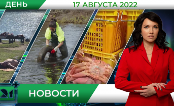 Полное видео программы «Дневные новости» Полное видео программы «Дневные новости»