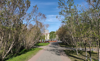 Мурманск