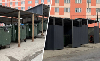 Мусорный беспредел. Северяне пожаловались в прокуратуру Мусорные баки