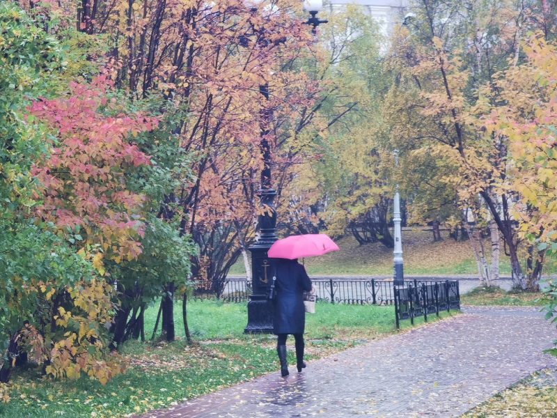 Переменчивая погода Дождь
