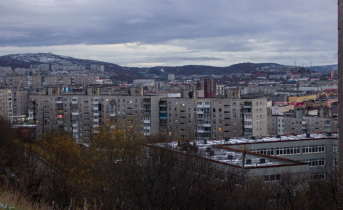 Очаровательных малышей предлагают приобрести северянам Мурманск