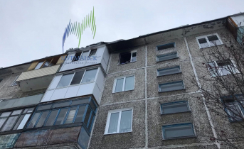 При пожаре в жилом доме в Мурманске погибли животные Жилой дом