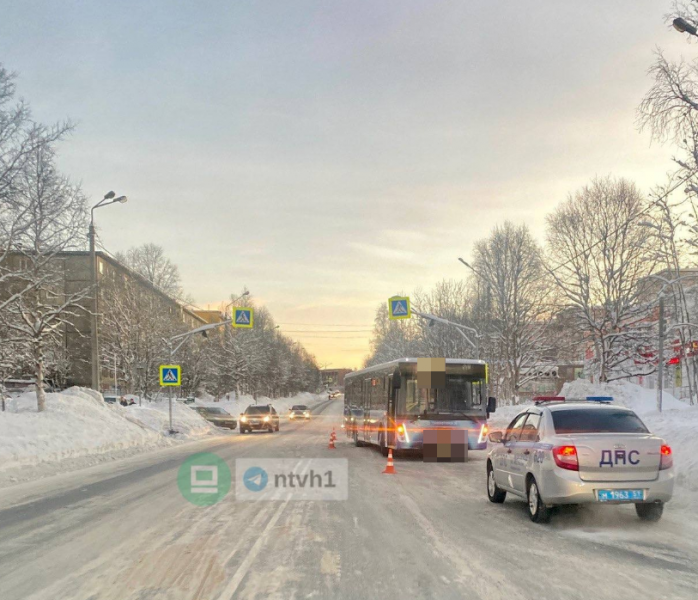 Автобус сбил ребенка на пешеходном переходе в Мурманской области Авария