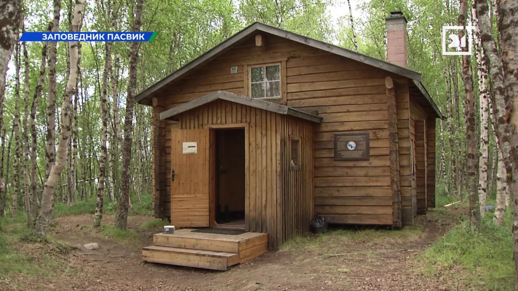 Добровольцы работают в одном из заповедников Мурманской области Норникель