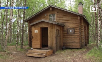 Добровольцы работают в одном из заповедников Мурманской области Норникель