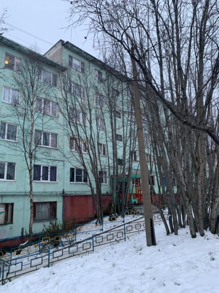 В Мурманске разыскивают хозяина необычного объекта В Мурманске разыскивают хозяина необычного объекта